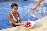 Acqua Condos For Rent